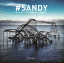 Image for #Sandy : Seen Through the iPhones of Acclaimed Photographers