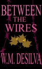 Image for Between The Wires