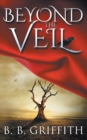 Image for Beyond the Veil (Vanished, #2)
