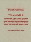 Image for Tel Anafa II, iii
