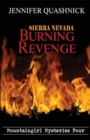 Image for Sierra Nevada Burning Revenge