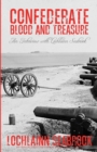 Image for Confederate Blood and Treasure : An Interview with Lochlainn Seabrook