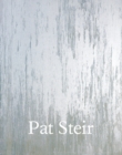 Image for Pat Steir