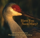 Image for Have you seen Mary?