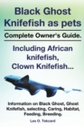 Image for Black Ghost Knifefish as Pets, Incuding African Knifefish, Clown Knifefish... Complete Owner&#39;s Guide. Black Ghost, Ghost Knifefish, Selecting, Caring,