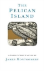 Image for The Pelican Island (Illustrated Edition)