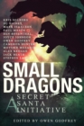 Image for Small Dragons
