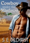 Image for Cowboy under the Mistletoe