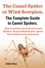 Image for Camel Spider or Wind Scorpion. The Complete Guide to Camel Spiders. All You Need to Know About Camel Spiders. Facts Including Size, Speed, Bite and Habitat.