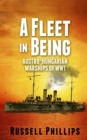 Image for A Fleet in Being