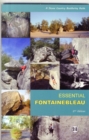 Image for Essential Fontainebleau