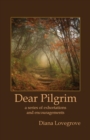 Image for Dear Pilgrim