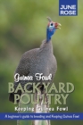 Image for Guinea Fowl, Backyard Poultry