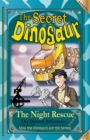 Image for The Secret Dinosaur