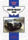 Image for Austin Healey 3000