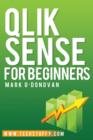 Image for Qlik Sense for Beginners