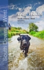 Image for Countryside dog walks: South Downs - West Hampshire