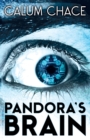 Image for Pandora&#39;s brain