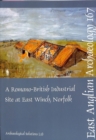 Image for EAA 167  : a Romano-British industrial site at East Winch, Norfolk