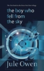 Image for The Boy Who Fell from the Sky