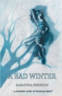 Image for A Bad Winter