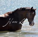 Image for Horse Lore the Traditional Wisdom of Equus