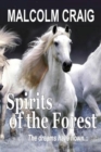 Image for Spirits of the Forest