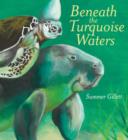Image for Beneath the turquoise waters