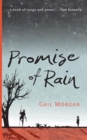 Image for Promise of Rain