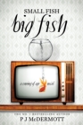 Image for Small Fish Big Fish
