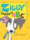 Image for Ziggy Learns His ABC&#39;s