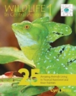 Image for Wildlife In Central America 1 : 25 Amazing Animals Living in Tropical Rainforest and River Habitats