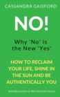 Image for No! Why &#39;No&#39; is the New &#39;Yes&#39;