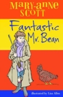 Image for Fantastic Mr Bean
