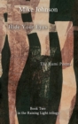 Image for Hide Your Eyes: the Rumi Poems