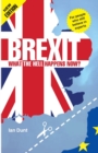 Image for Brexit: What the Hell Happens Now?