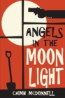 Image for Angels in the moonlight  : a prequel to the Dublin trilogy