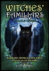 Image for Witches&#39; Familiars Oracle Cards