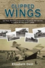 Image for Clipped Wings : Illustrated Diary of My RAF Service in India &amp; Burma 1942-1946 by CPL Peter Walker