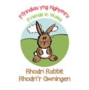Image for Rhodri Rabbit / Rhodri&#39;r Gwningen
