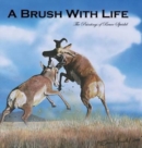 Image for A Brush With Life : The Paintings of Bruce Speidel