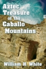 Image for Aztec Treasure of the Caballo Mountains