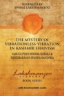 Image for The Mystery of Vibrationless-Vibration in Kashmir Shaivism