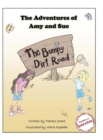 Image for The Adventures of Amy and Sue : The Bumpy Dirt Road