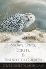 Image for Snowy Owls, Egrets, and Unexpected Graces