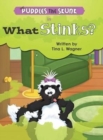 Image for Puddles the Skunk in What Stinks?