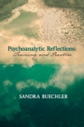 Image for Psychoanalytic Reflections : Training and Practice