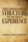 Image for The Immaterial Structure of Human Experience