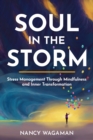 Image for Soul in the Storm