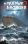 Image for Hebrews to Negroes 2; Volume 3